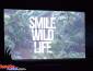 Premios Smile 2018 - Wild Life